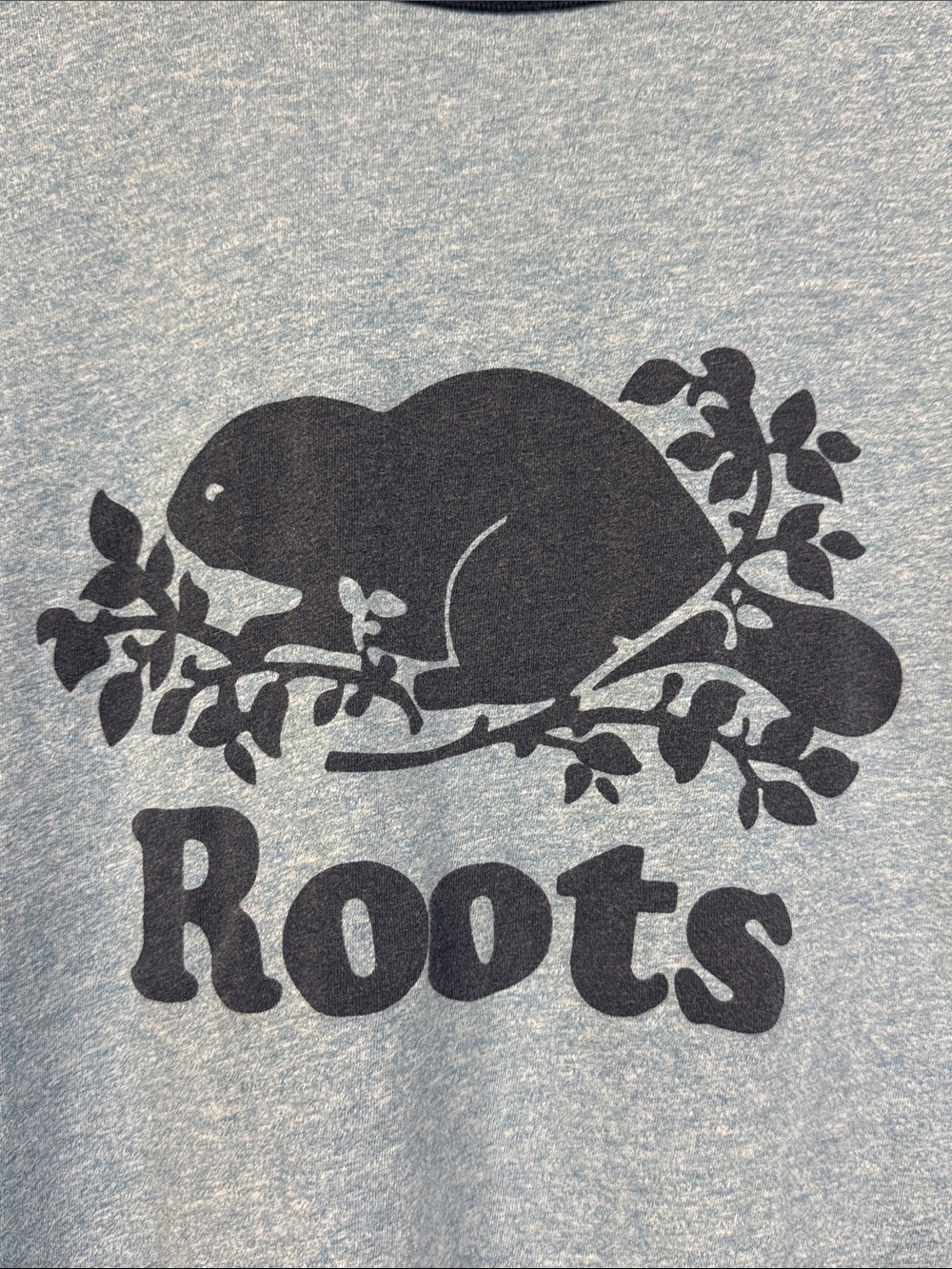Roots Ringer Tee - Picture 2 of 6